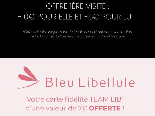 Bleu Libellule